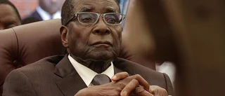 Gunilla Carlsson: Möte med Mugabe