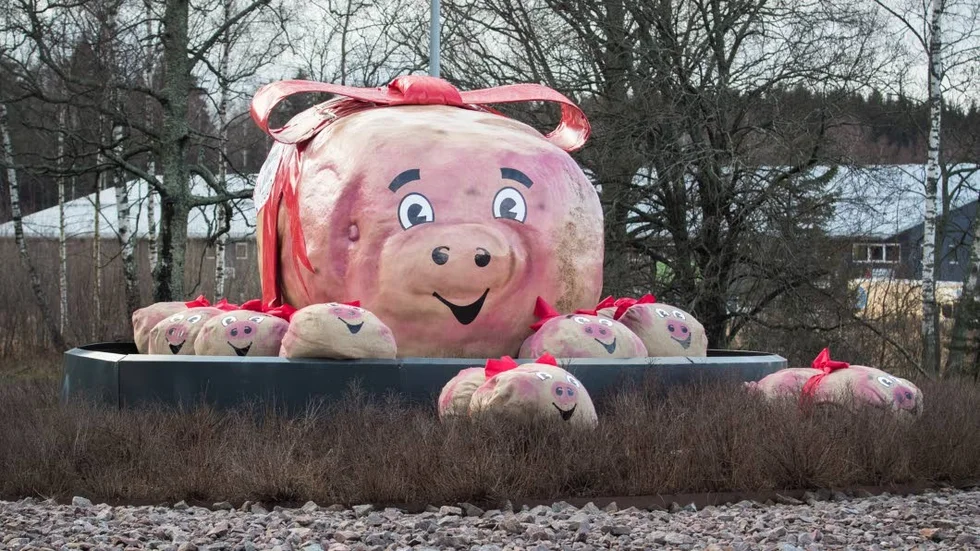 Rondellen vid Viringe lär dra blickarna till sig även i år.