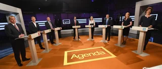 Sveriges röriga inrikespolitik