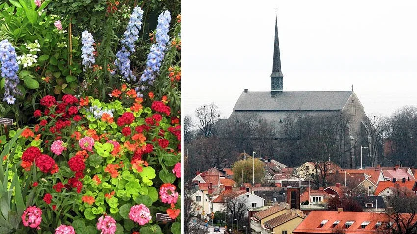 Vadstena kan få en botanisk trädgård.