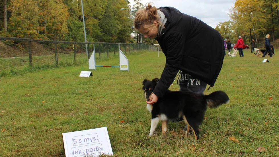 Godispaus.  Diva får något gott av Fanny Eriksson.