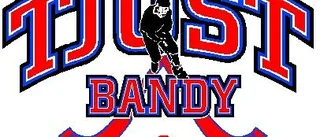 Tjust Bandy spelade cup