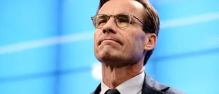 Är Moderaterna hoppfulla?