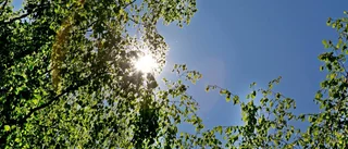 SMHI: Sommaren är här