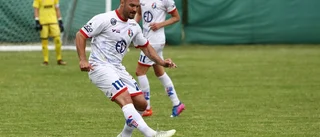 Assyriska värvar mittback