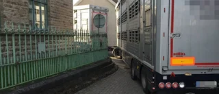 Gristransport körde ner staket