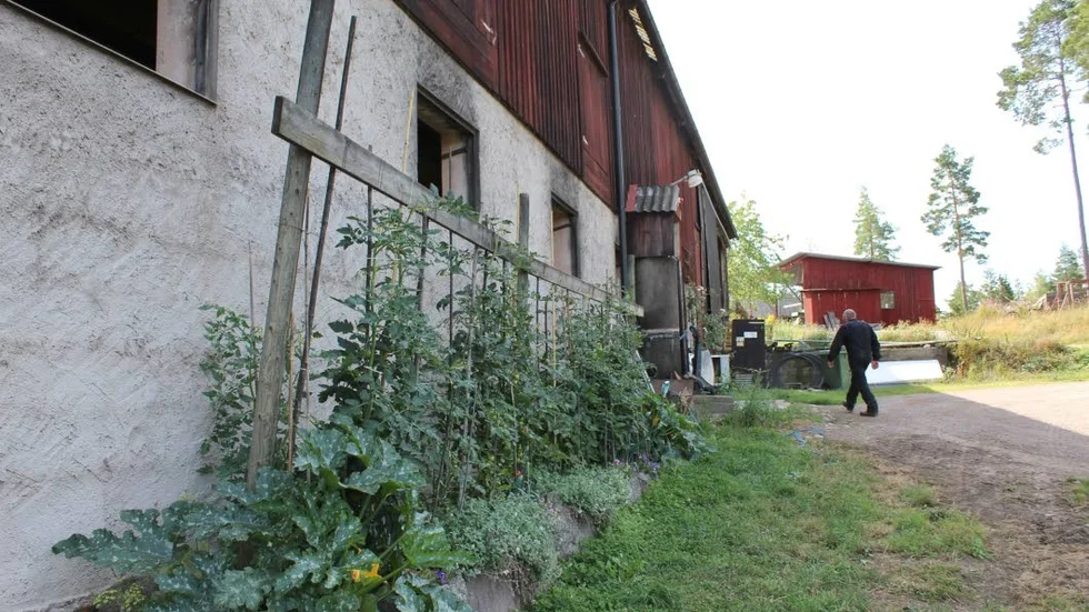 Ladugården. Christer har själv byggt ladugården, ihop med sin pappa.