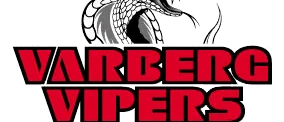 UPPGIFTER: Vimmerby Hockeys seriekollega drar sig ur serien