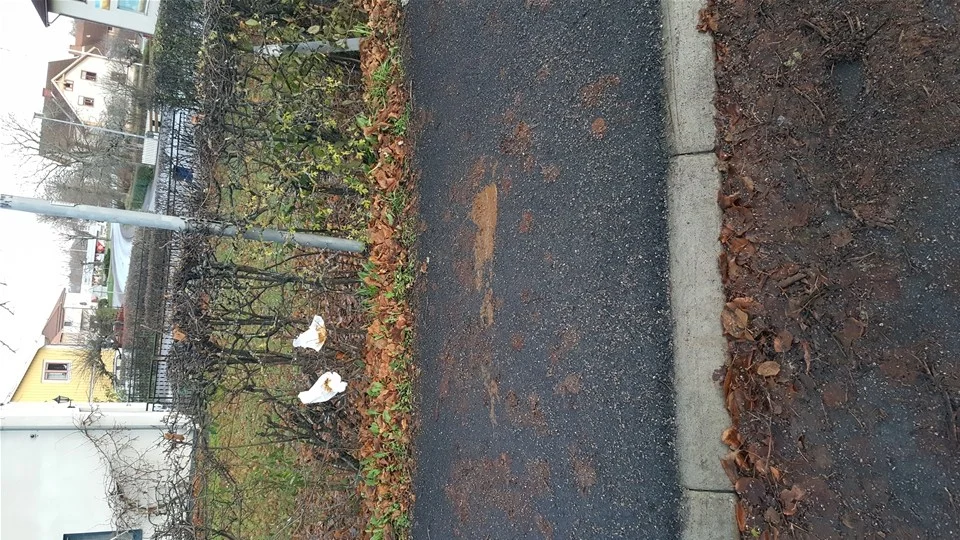 Det råder ingen tvekan om att avföringen kommer från en människa. Det bevisar inte minst toalettpapperet i häcken bredvid.