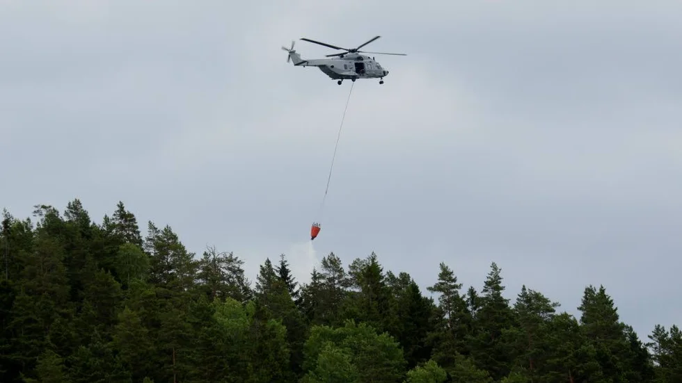 Foto: Per Svensson Borrud/Pelles Photo