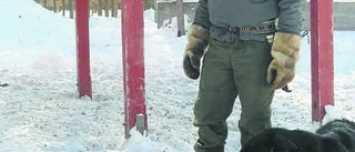 Ren dog efter pellets-sabotage