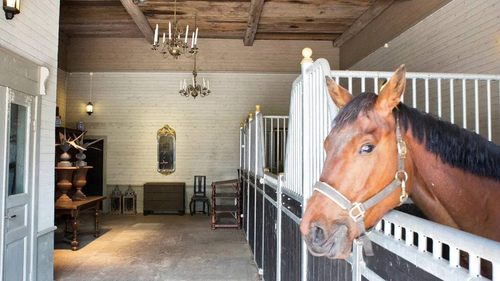 Inredningsintresse. En period födde Björn Larsson upp hästar på Billa gård. Nu har han fem stycken som han sköter parallellt med att driva inredningsbutik i den ombyggda ladugården intill stallet. Inredningsintresset kommer som synes även hästarna till godo.