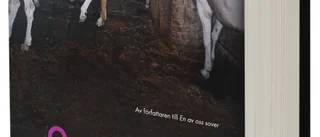Gåtfullt lockande filmisk prosa