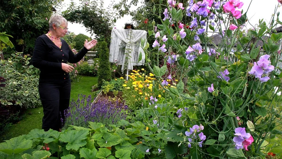 Anita petterssons trädgård i Motala