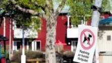 ”Det är synd att myndigheterna inte agerar snabbare”, säger Carita Elfving, boende i området där två hundar attackerade människor under torsdagen. FOTO: Göran Ström