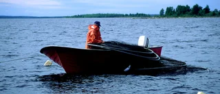 Laxfisket i Norrbotten
