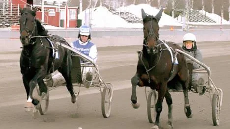 Direkt efter tävlingarna senast gick Brutus Sund och Victoria Sisu ett snabbjobb tillsammans. Petri Salmela körde Brutus Sund medan lärlingen/skötaren Paulina Kuusenoja satt bakom Victoria Sisu. Petri hoppas på vinst för båda två ikväll.