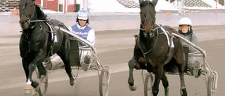 Brutus Sunds stora år