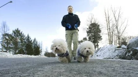 Mikael Ek:s sambo med flera har under flera års tid försökt förmå Luleå kommun att smalna av Örnäsvägen. Vintertid är det inte så lätt att se Bamse och Felix när de tar sina pissturer efter gatan.