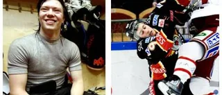 De stannar i Luleå Hockey