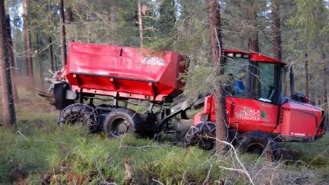Askan från eldning av biobränsle bör, som här demonstreras, återföras till skogen.FOTO: Nina Pettersson