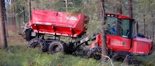 Tillförsel av aska nyttigt för skogen