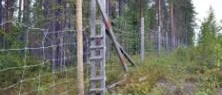 Rivning - för 300 miljoner
