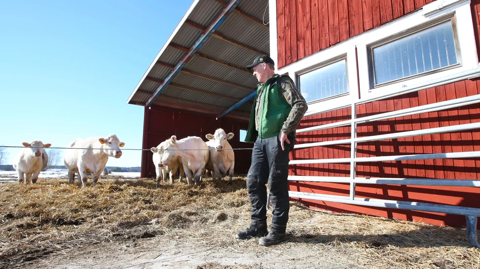 Peder Berntsson är uppvuxen med djur och djurhållning. Han berättar att länsstyrelsens besked om ett nytt vargrevir inte kom som en överraskning. 