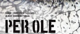 Mörk historia om våld och svåra lidanden