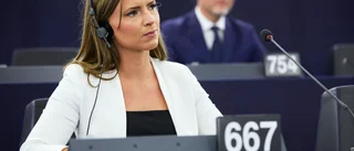 Skyttedal ger inte upp om plats för KD i EU
