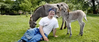 Nyfödd nubisk åsna charmar alla i Axhult