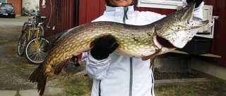 Hon håvade upp 7,5 kilos gädda