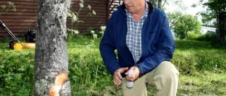 En gräslig klippning