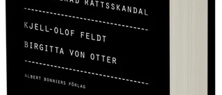 Kjell-Olof Feldt och Birgitta von Otter: Barnläkarfallet – en förnekad rättsskandal