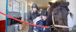 Familjens nya hobby blev en succé - "Längtar hit"