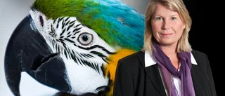 Bespara oss denna goja