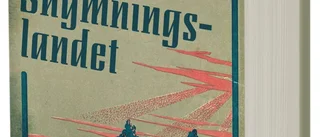 Drömlikt läsvärd men snopet kort