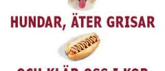 Vissa blir kelgrisar andra mat
