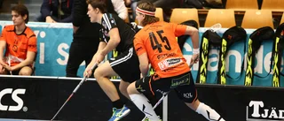 Libk krossade Höllviken