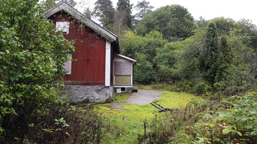 Jonsbo med uthus och numera vildvuxen trädgård kan komma att rustas upp.