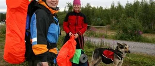 Tio mil i fjällterräng