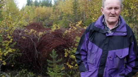 "Miljö, natur och skattepengar förstörs", säger Sture Fransson, som upptäckte mängder med renstängselrullar som rostar i skogen. FOTO: Marie Ridderström