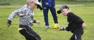 Stora löneskillnader för sommarjobb