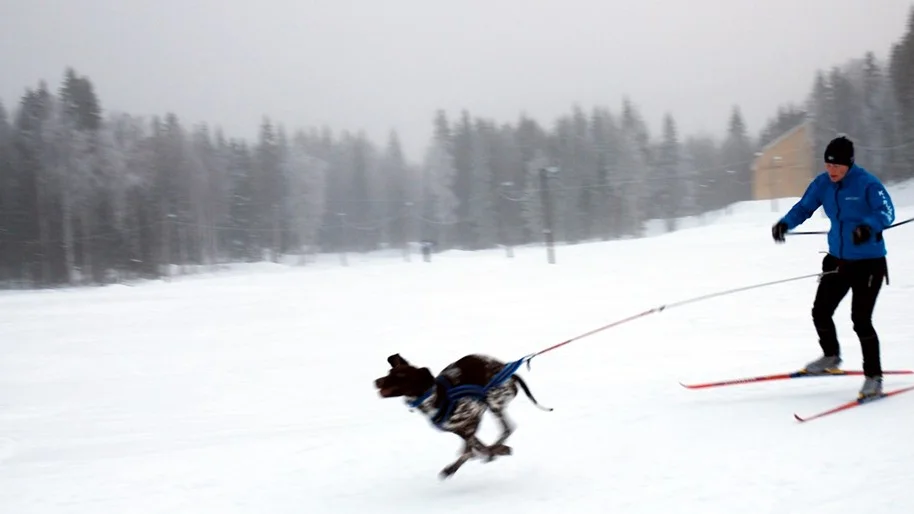 Malin Brännvall som flyttat till Kiruna firade jul i Piteå och passade på att delta med Iroc i Tomtedraget.