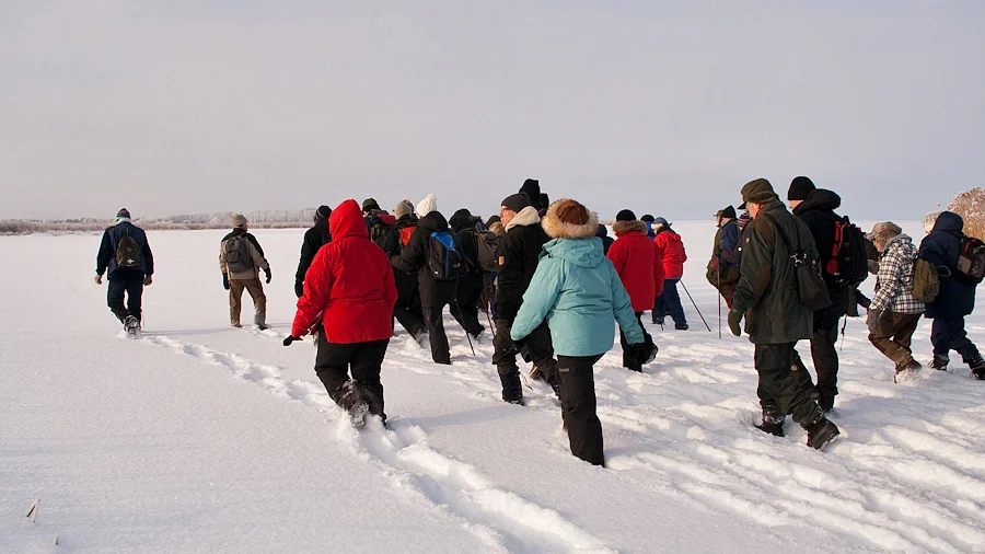 Ett 70-tal deltagare lockades till Tåkern.