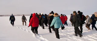 Vandring in i vassen