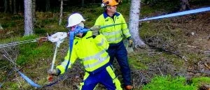 Hårda vindar orsakade elavbrott