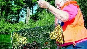 Bingo!  -" Vilken jäkle baste, bura är full, - utropar Thora Svensson glädjestrålande vid den första vittringen.