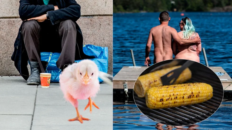 Det framgår dock inte vilka som kandiderar eller vilka frågor som dessa partier vill driva.