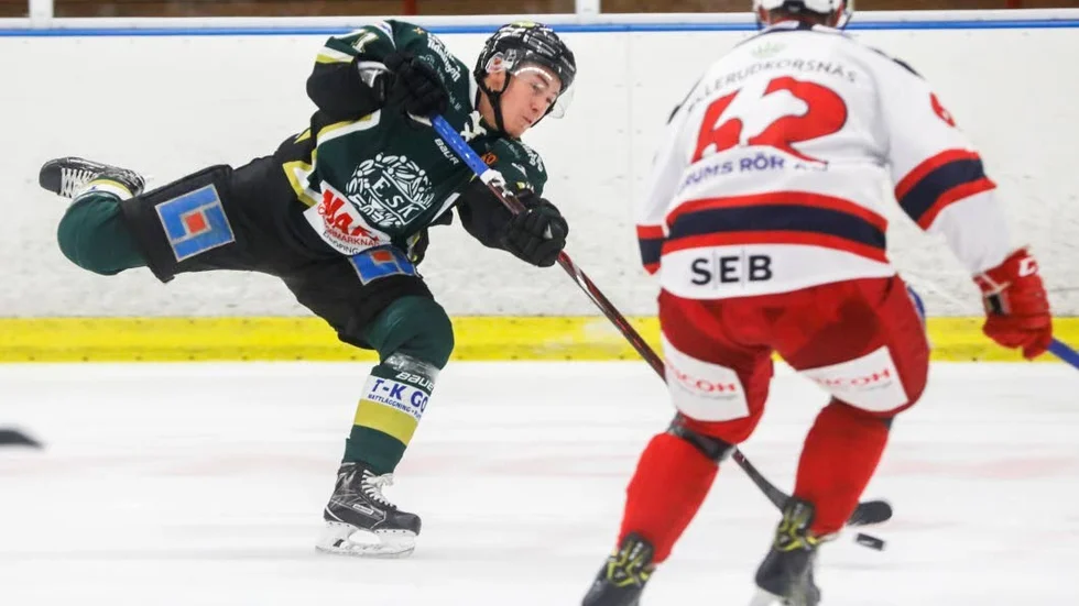Klar. Wiliam Warging förlängde under måndagen sitt kontrakt med ESK Hockey.